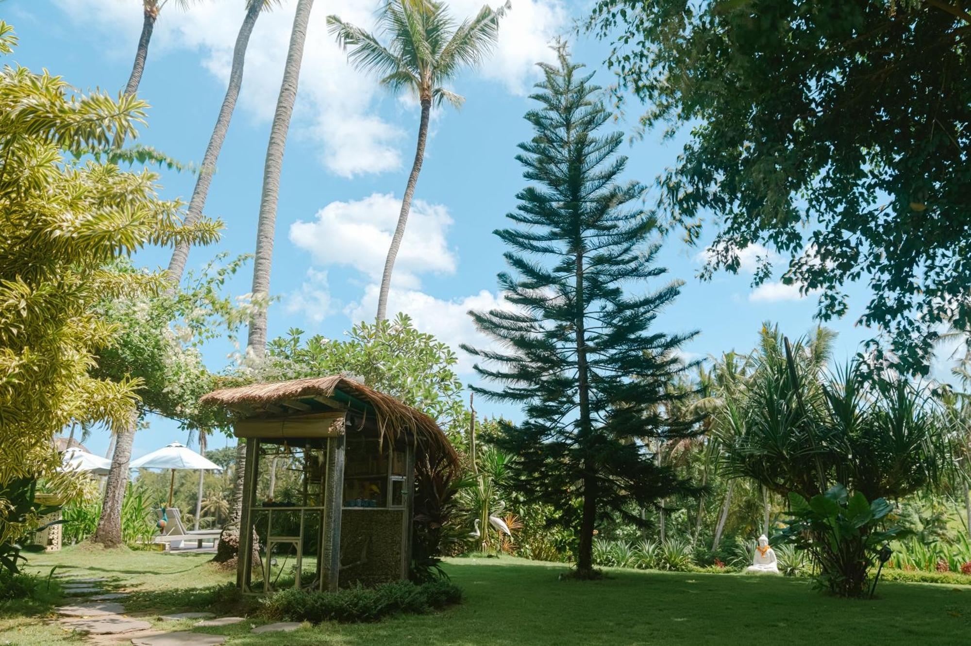 Resort Coco Bali 4*